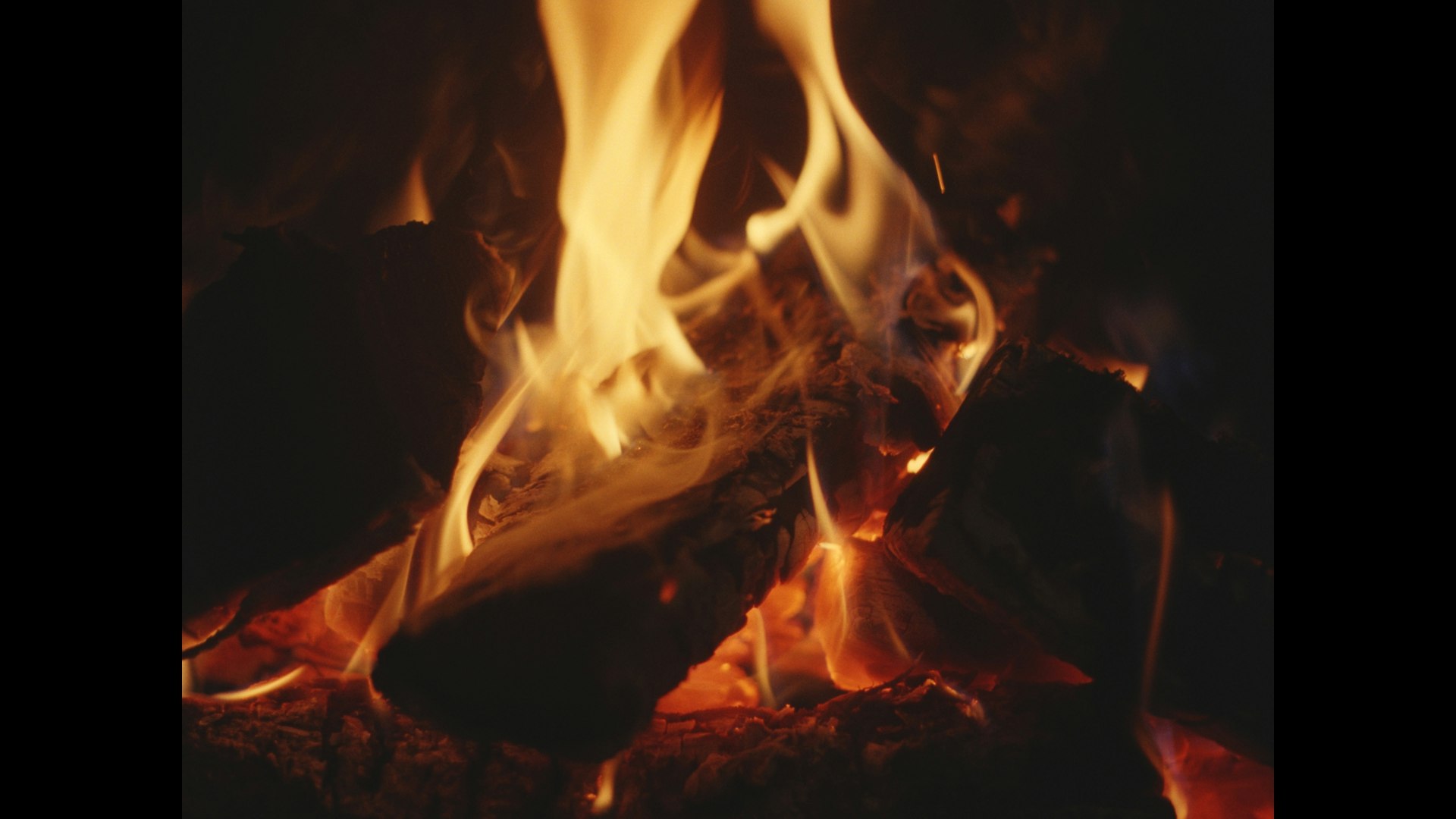 Paroles à l'amie - Raphaël Bourdin